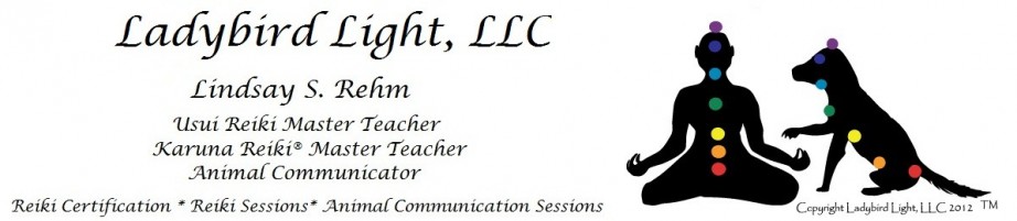 Ladybird Light Reiki and Animal Communication with Lindsay S. Rehm